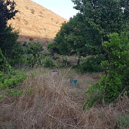 Κυθνος Δρυοπίδα, Στούντιο Χατζής Villa Dhriopís Eksteriør billede