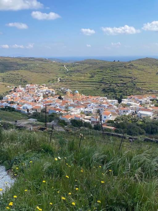 Κυθνος Δρυοπίδα, Στούντιο Χατζής Villa Dhriopís Eksteriør billede