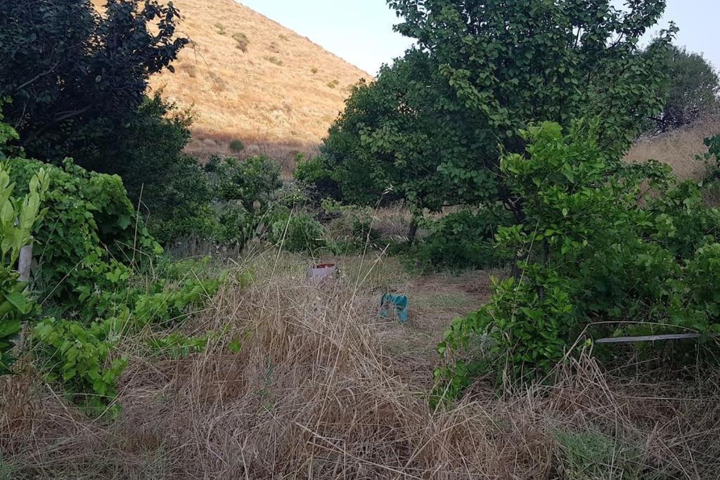 Κυθνος Δρυοπίδα, Στούντιο Χατζής Villa Dhriopís Eksteriør billede